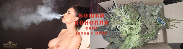 не бодяженный Арсеньев