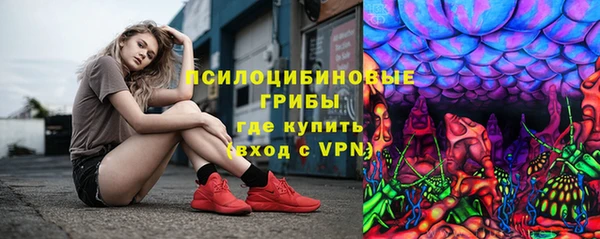 не бодяженный Арсеньев