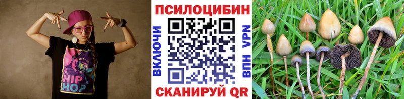 Галлюциногенные грибы MAGIC MUSHROOMS  закладки  Тында 
